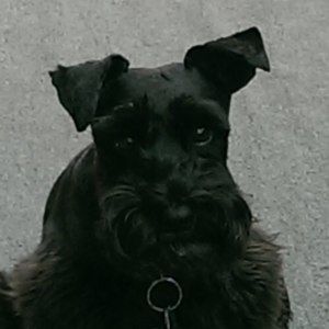 Meet your Posher, Brenda